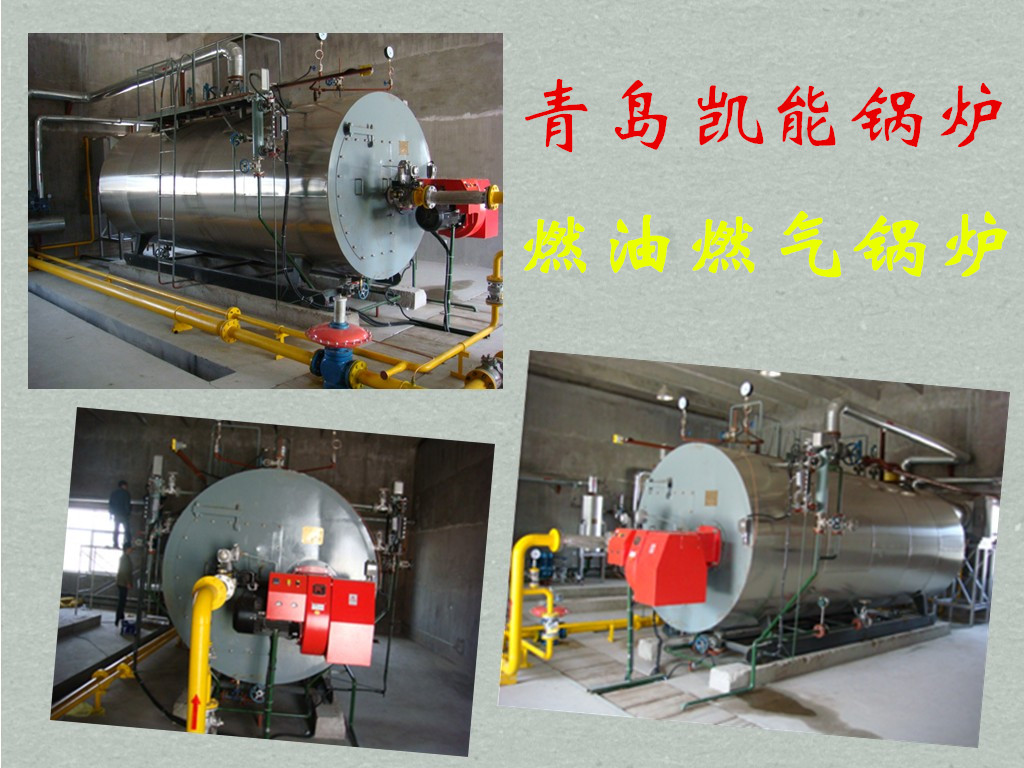 燃油燃?xì)忮仩t 燃油燃?xì)忮仩t