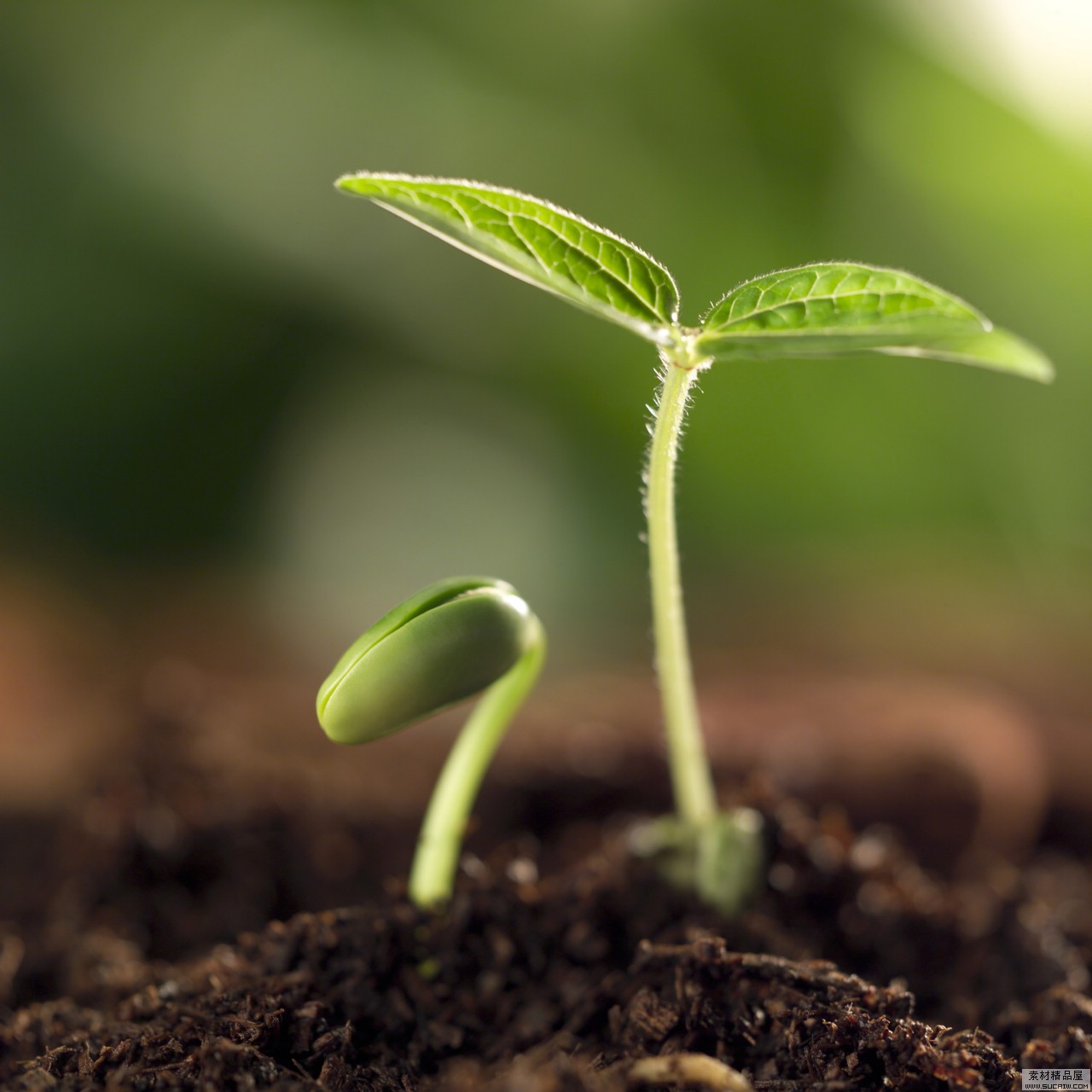 選擇凱能鍋爐，共創(chuàng)綠色家園