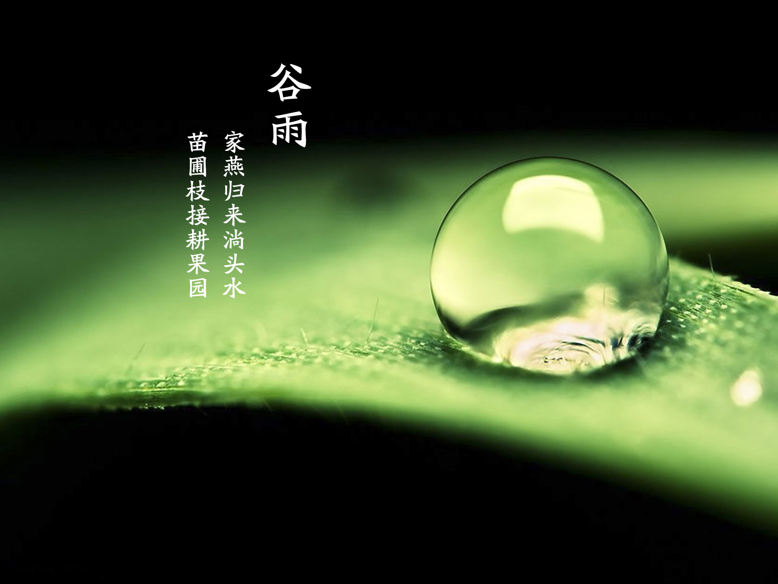 谷雨已至您還在猶豫嗎？