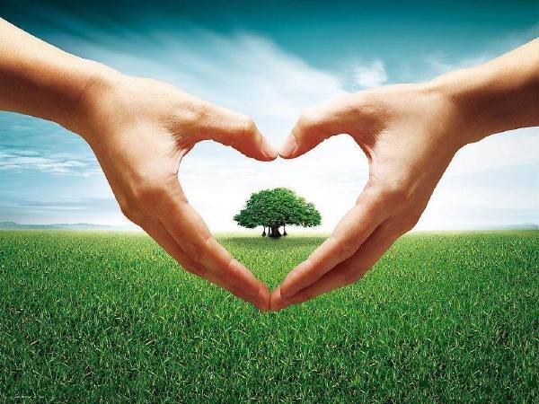 凱能 節(jié)能環(huán)保主力軍 凱能 節(jié)能環(huán)保主力軍